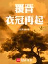 覆晋:衣冠再起