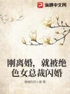 刚离婚,就被绝色女总裁闪婚