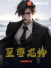 至尊龙帅