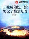 二嫁成弟媳,渣男太子跪求复合
