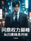 问鼎权力巅峰从扫黑除恶开始